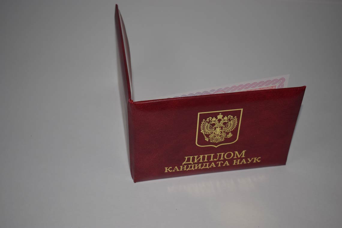 Диплом Кандидата Наук 2013-2016 в Челябинске корка